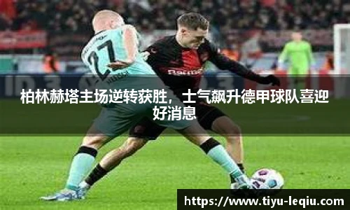 乐球直播官网
