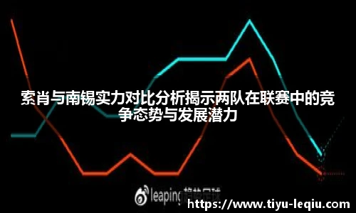 索肖与南锡实力对比分析揭示两队在联赛中的竞争态势与发展潜力
