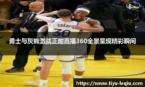 勇士与灰熊激战正酣直播360全景呈现精彩瞬间